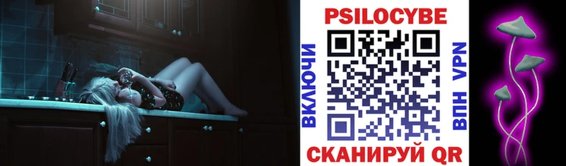 Купить  Бакал  Псилоцибиновые грибы MAGIC MUSHROOMS 