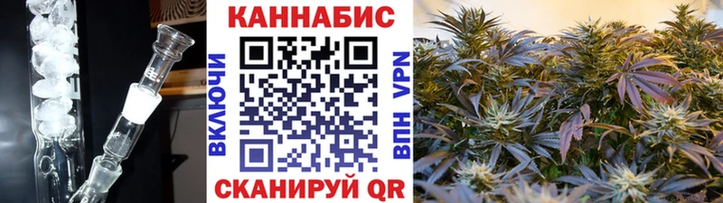 Купить  Бакал  Канабис сатива 